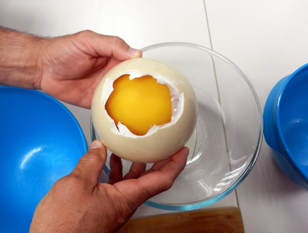 Največje jajce na svetu • Recepti Over Net