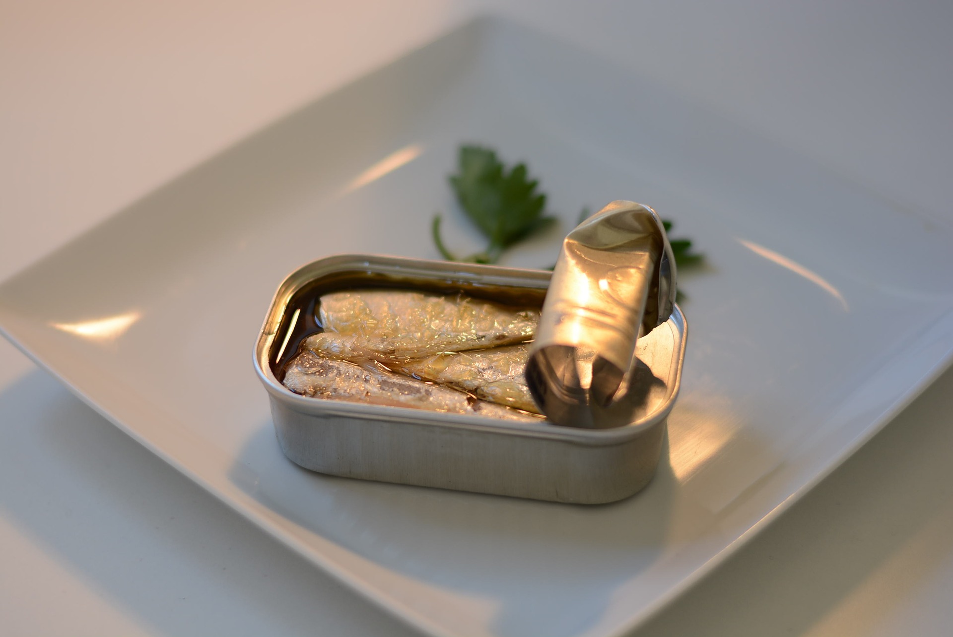 Solata s sardinami in čičeriko